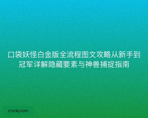 口袋妖怪白金版全流程图文攻略从新手到冠军详解隐藏要素与神兽捕捉指南