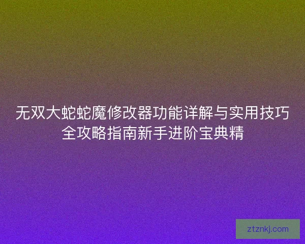 无双大蛇蛇魔修改器功能详解与实用技巧全攻略指南新手进阶宝典精